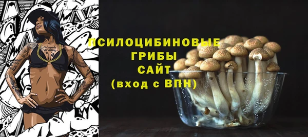 spice Пестово